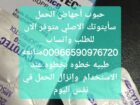 WhatsApp Image 2025-07-20 at 3.15.12 PM (2)