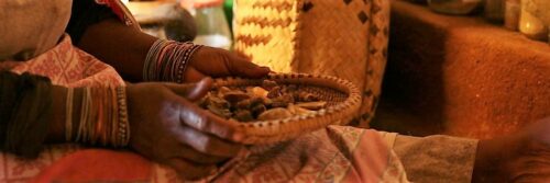 49cdc-traditional-healer-featured 49cdc-traditional-healer-featured